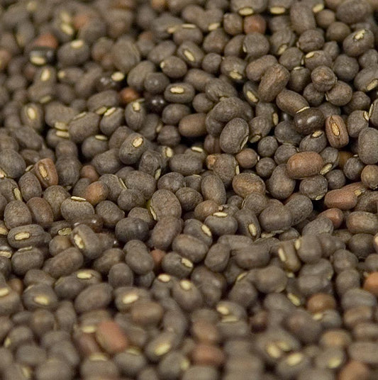 Schwarze ungeschälte Urid-Dal / Uridbohnen in ganzer Form, 1 kg Verpackung (German)