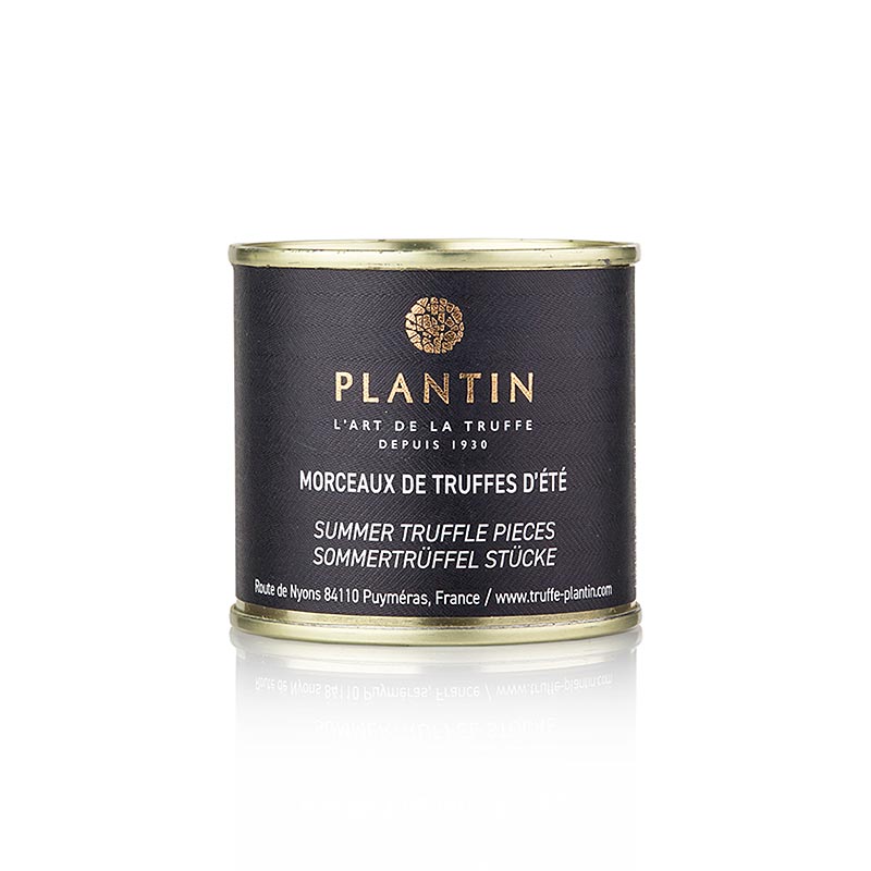 55g pack of Plantin Sommertrüffel Morceaux, featuring premium truffle pieces (English)