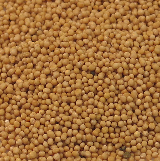 Organic 1 kg bag of light Senfsaat mustard seeds, perfect for culinary use