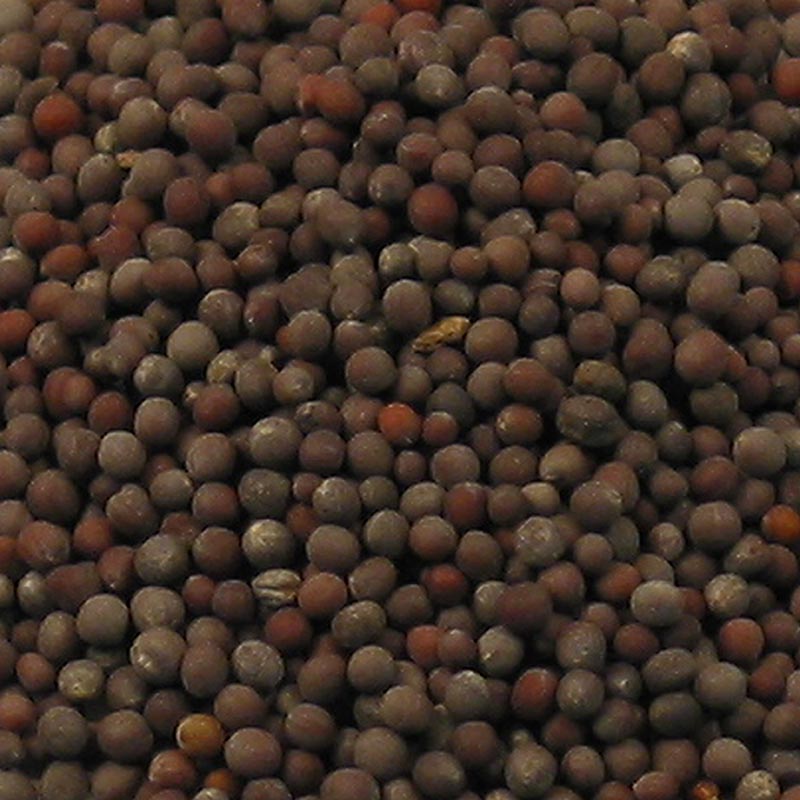 Organic dark mustard seeds, 100 grams, perfect for adding depth of flavor to your favorite dishes