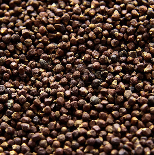 250g pack of Paradieskörner - a blend of Guinea, Melegueta, Malaguetta, and Maniguette peppercorns