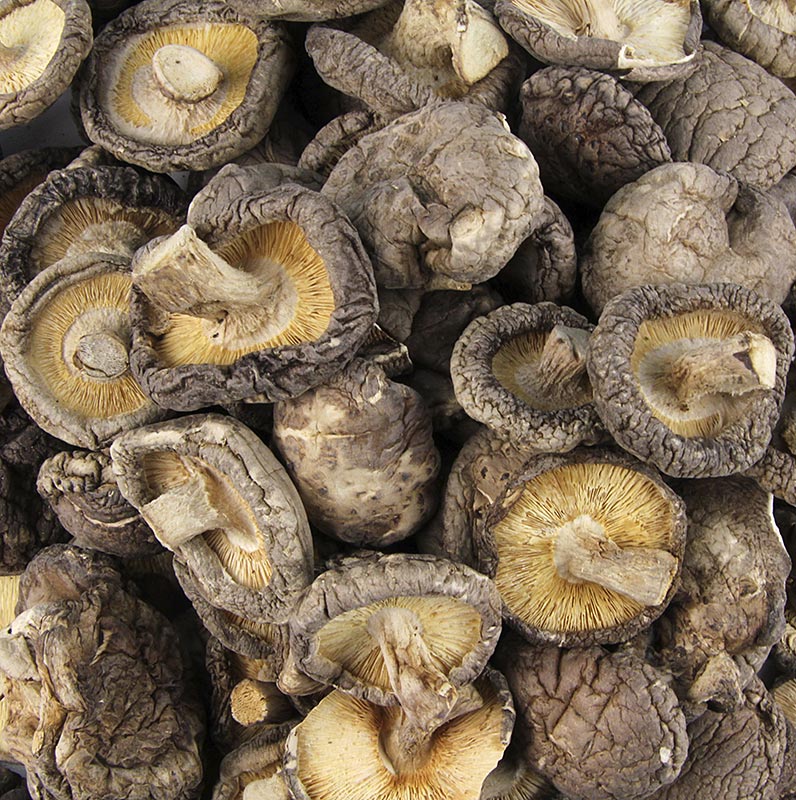 Shiitake Pilze, Tongu, kleine Kalibrierung ø 3cm, Zhong-Hon-Gu, 1 kg - Bild eines Kilogramms Shiitake-Pilze mit kleinen, 3 cm durchmessenden Pilzköpfen von Zhong-Hon-Gu