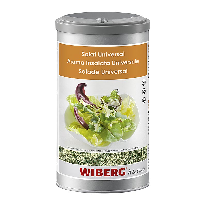 Large 900 g container of Wiberg Salat-Würzmischung, a flavorful salad seasoning blend (English)