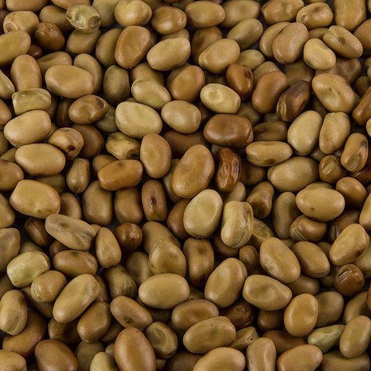 A close-up image of a package of Foul Medammas - Fava Bohnen, getrocknet, 800 g, dried fava beans, a popular Middle Eastern dish ingredient