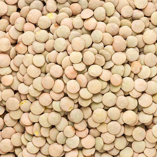 Organic Laird green lentils, 1kg pack, ideal for healthy cooking