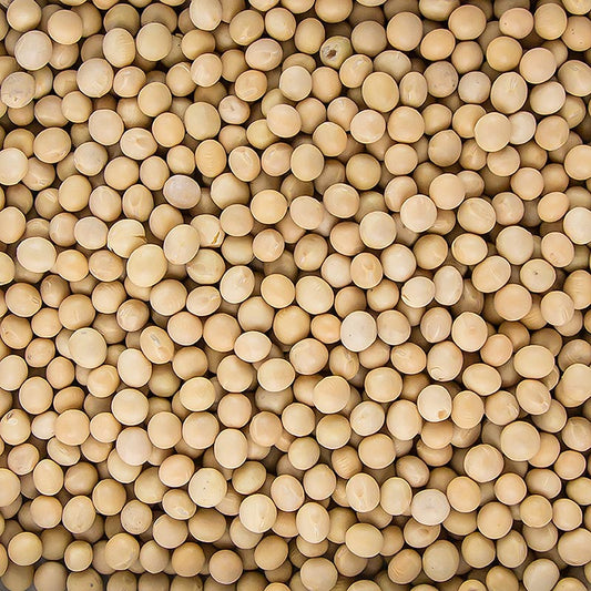 Organic 1 kg package of dried soybeans, also known as soja bohnen