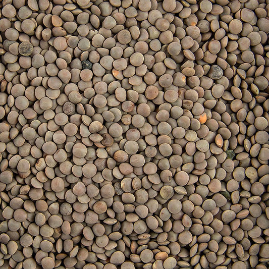 Small, 1 kg package of brown lentils, a versatile cooking ingredient