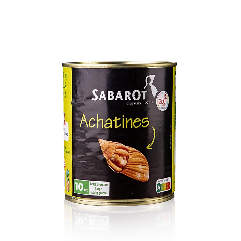 Achat-Schnecken (Achatines), 10 Dutzend, mittelgroß, Sabarot, 800 g, 120 St